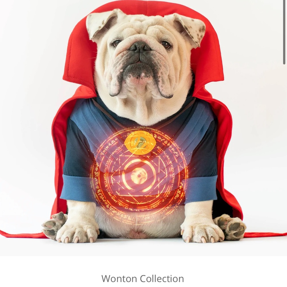 Dogtor Strange/ English Bulldog costume